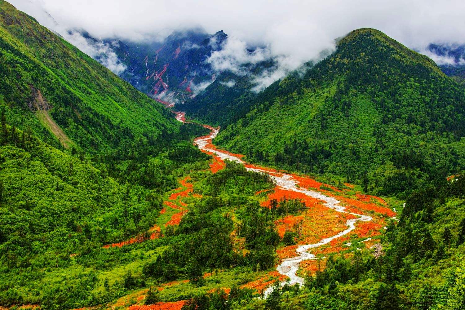 天府之国四川的魅力探秘之旅