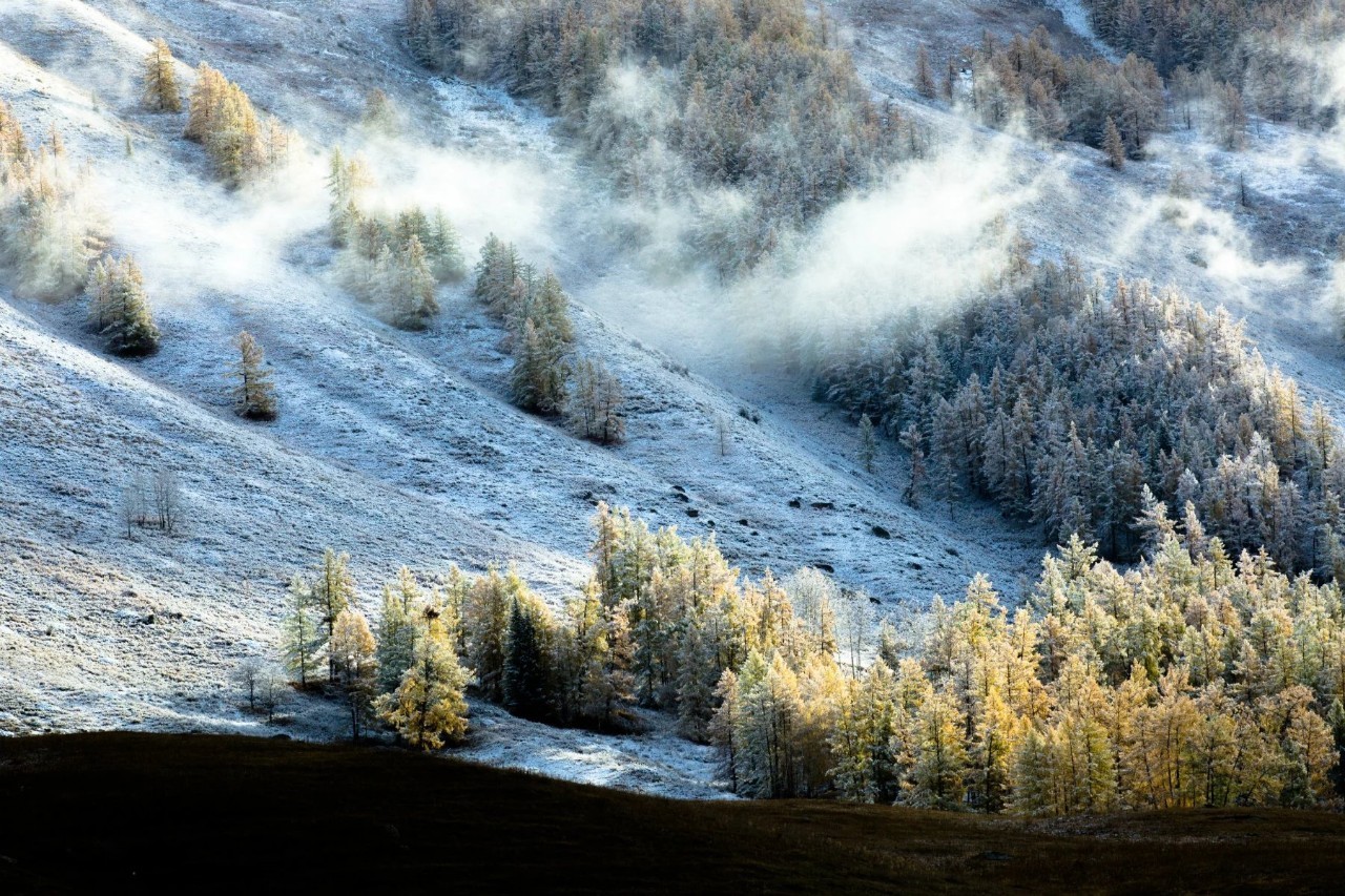 新疆,稳定繁荣的西北明珠闪耀光芒
